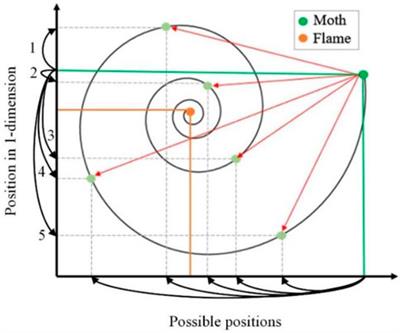 Evolutionary approach to construct robust codes for DNA-based data storage